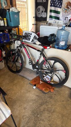 Men’s bike