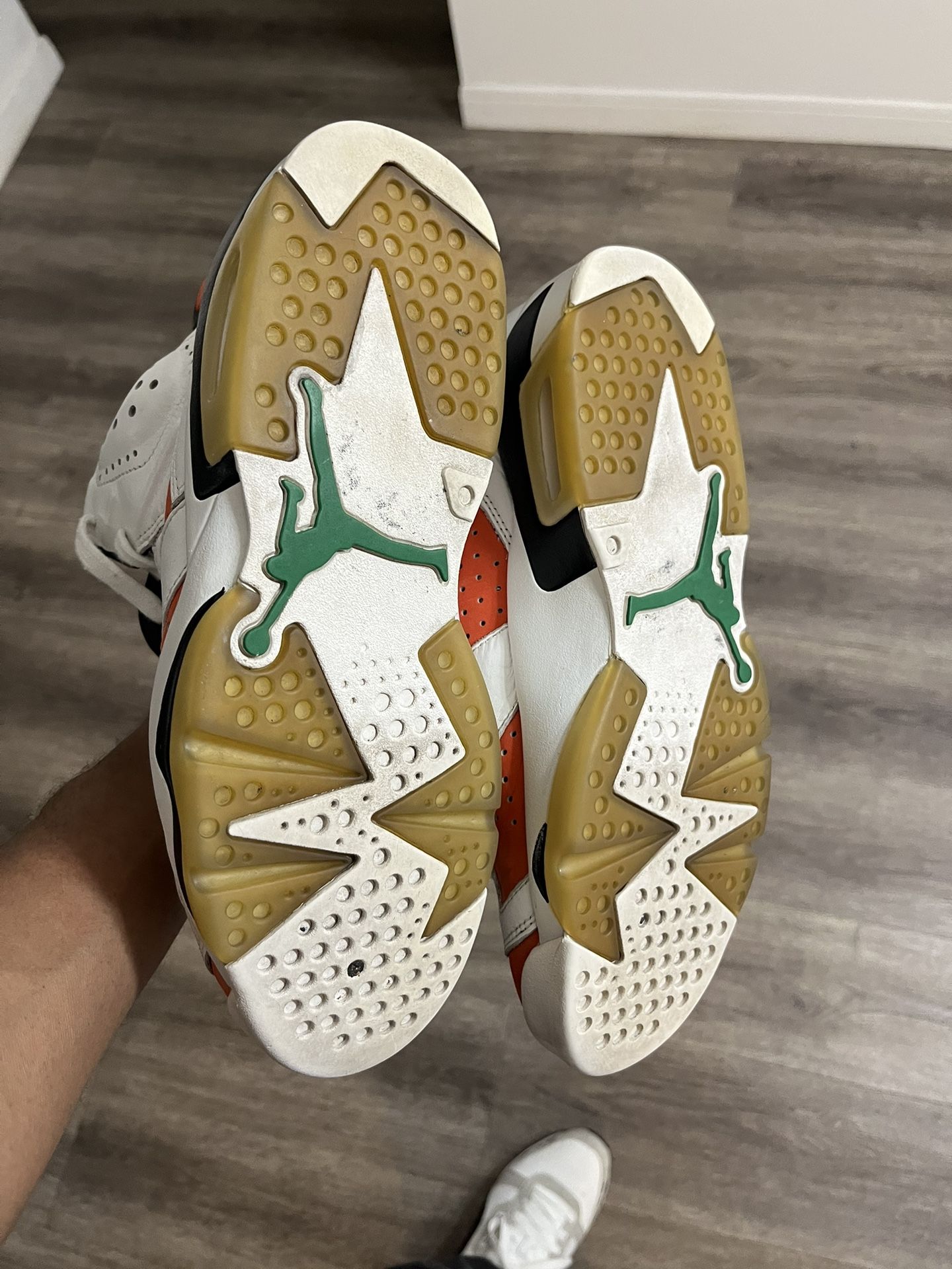 Gatorade Jordan 6s