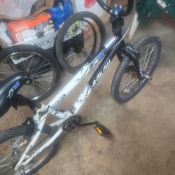 Fs20  blk  wht kent bike  ambush