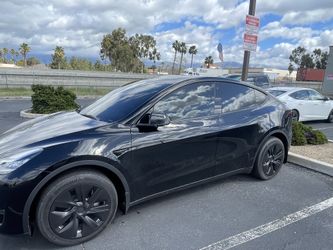 Windows Tinted