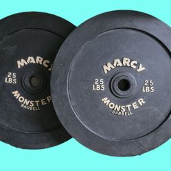 Two Pair Of 25 Lb. Steel Plate Weights