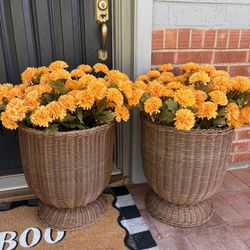 Two “My Texas house” Planters 
