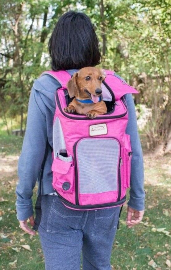Pet Dog Backpack NEW