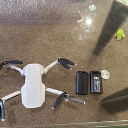 dji  mini dron