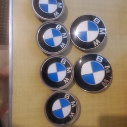 BMW Badges Excellent Condition