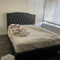 Queen Bed And Frame