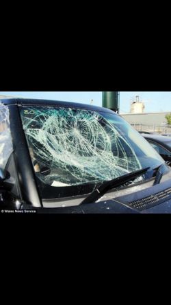 New windshield? Lowest price in tampa!