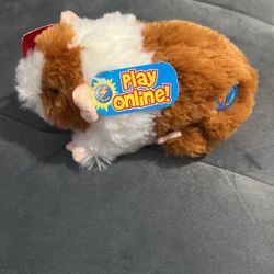 Beanie Babies Collection 