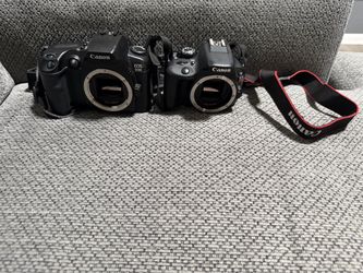 Canon EOS Digital Cameras