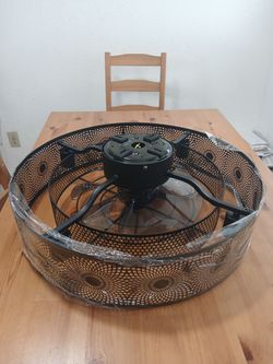 20 Inch Caged Ceiling Fan with Light
