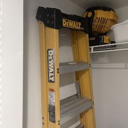 De Walt Ladder 