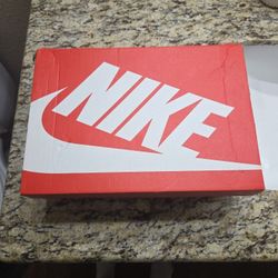 Nike Dunks Low Gs 