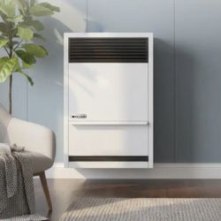 Williams Direct-Vent Gravity Wall Heater 14,000 BTUH Natural Gas Furnace