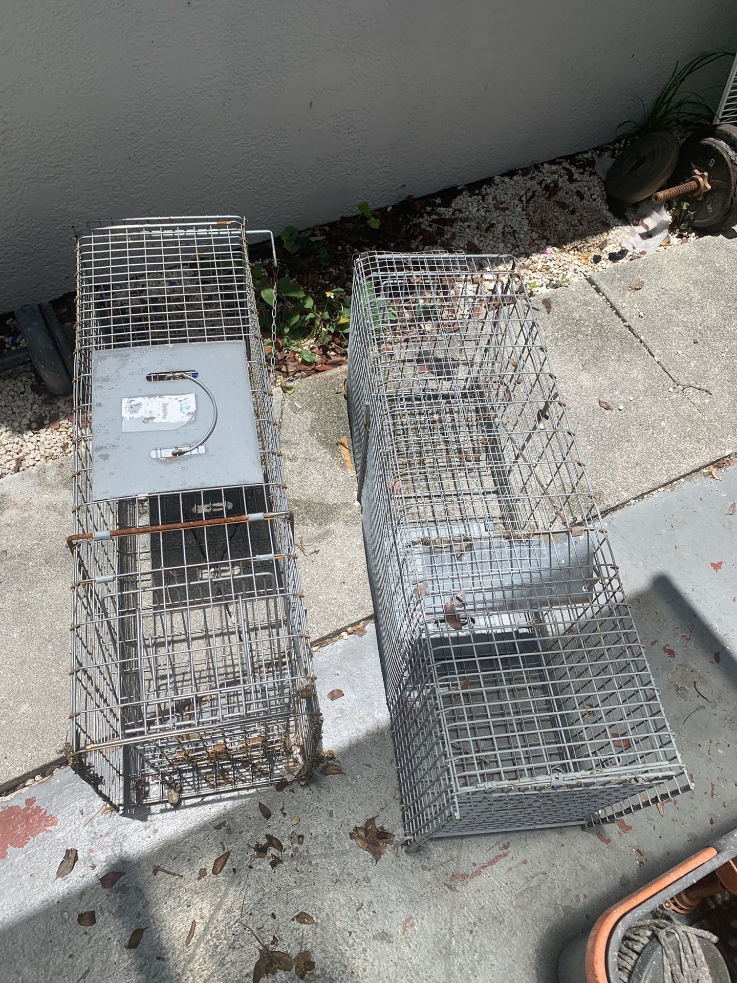 Animal Cages