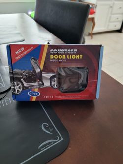 Dodge door lights