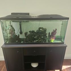 55 Gallon Aquarium with all accessories