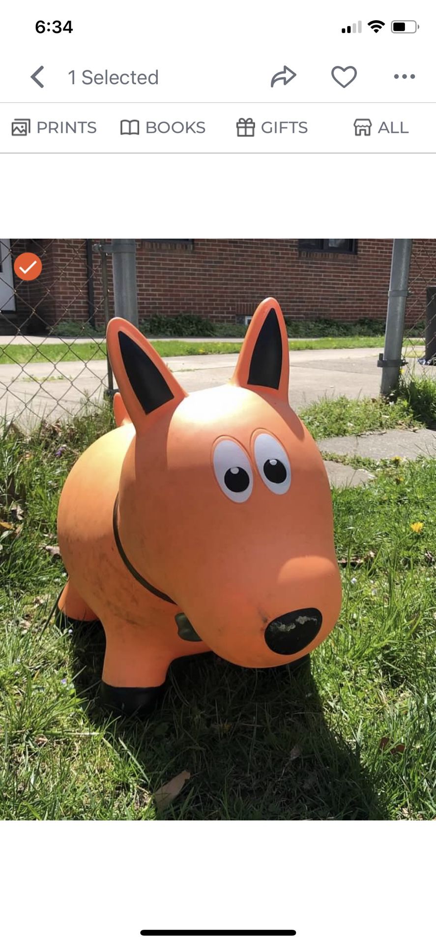 Dog Toy Bouncy Ride On