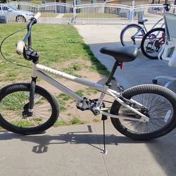 20 Inch Spector Bmx Freestyle Bike