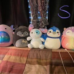 Squishmallows (12 Plushies)