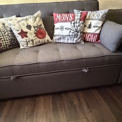 Sleeper Sofa/Sofa Bed