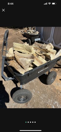 Camping Desert Beach Bonfire Wood