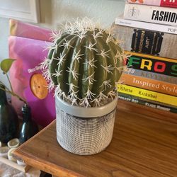 West Elm Cactus Faux Succulent 