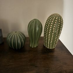 3 Piece Cactus Set 
