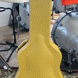 Guitar Case