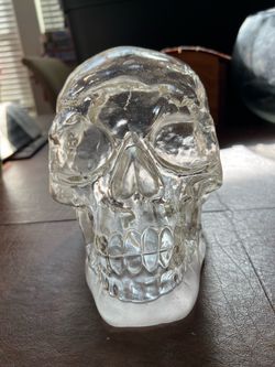 Never used Halloween light up skull