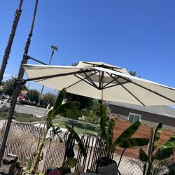 Umbrellas 