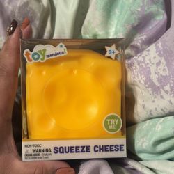 Squeeze Cheese Squishy 