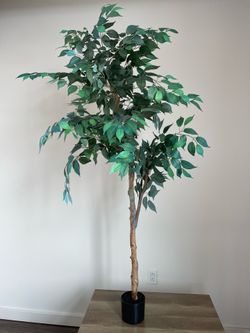 Large Artificial Ficus Tree with Black Pot