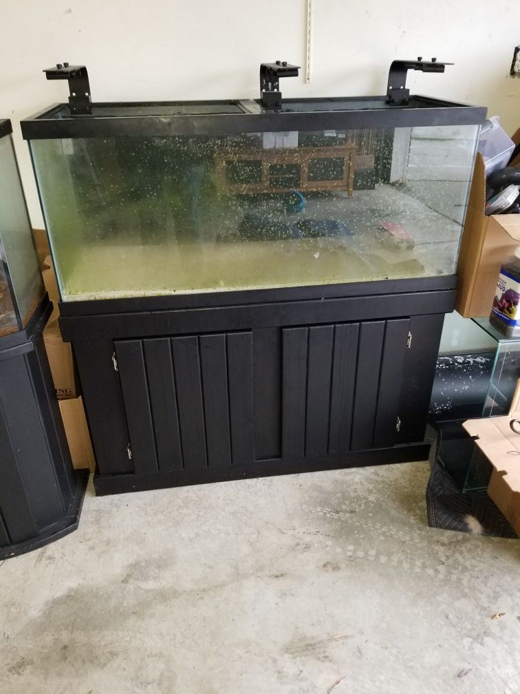 75 gal fish tank