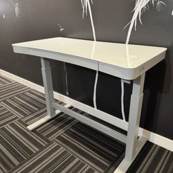 Office Desk (Electric Sit/Stand) 