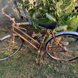 Vintage Bicycle (By Brand Schwinn)