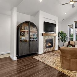 Designer Curio Cabinet 