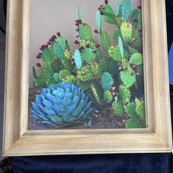 Southwest cactus photography