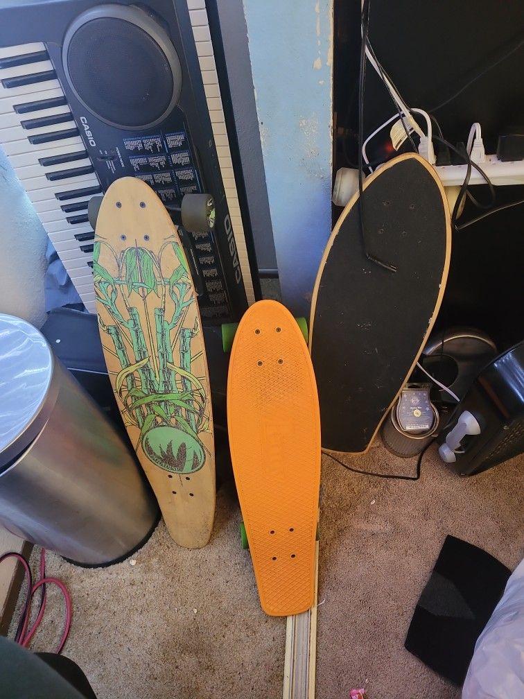 I Have 3 Skate Boards, One Is A Penny Board And One Is A Kryptonics.