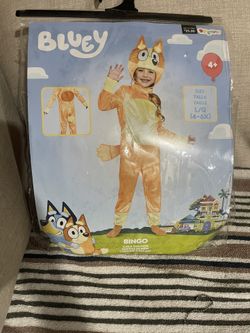 Bingo Costume