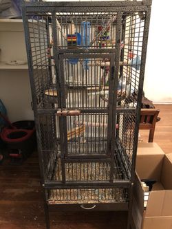 Two budgie birds with big cage, food and accessories for cage
