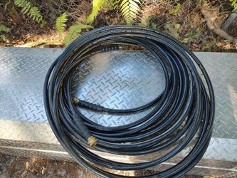 DeWalt 100'  hose