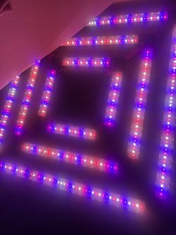 Kind LED Grow Lights X² Commercial LED Grow Light. KIND LED X2 Light. New!