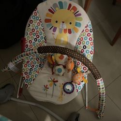 Baby Swing
