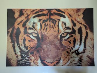 Tiger canvas