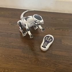 Robot dinosaur
