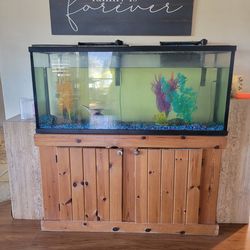 Fish tank and stand