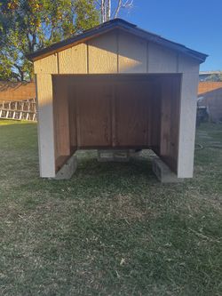 Tortoise House Enclosure Tortuga