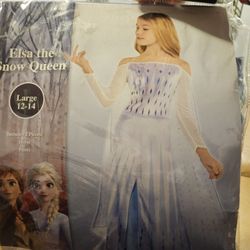 Elsa Costume & Wig
