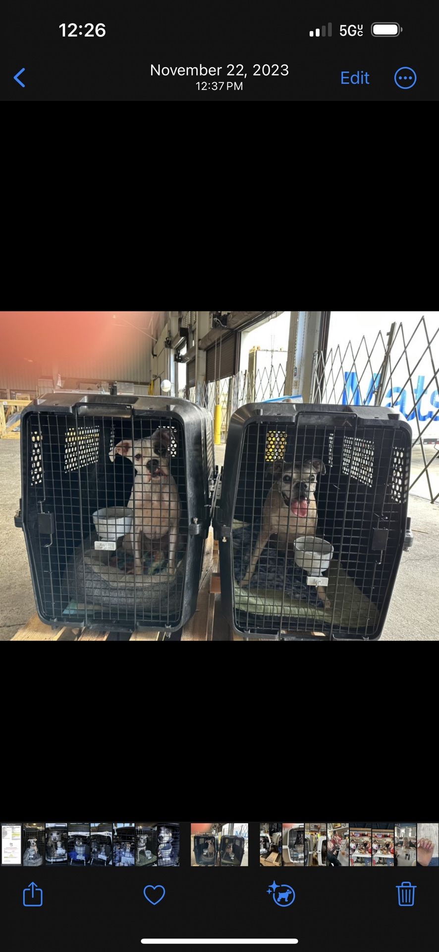 Dog crates