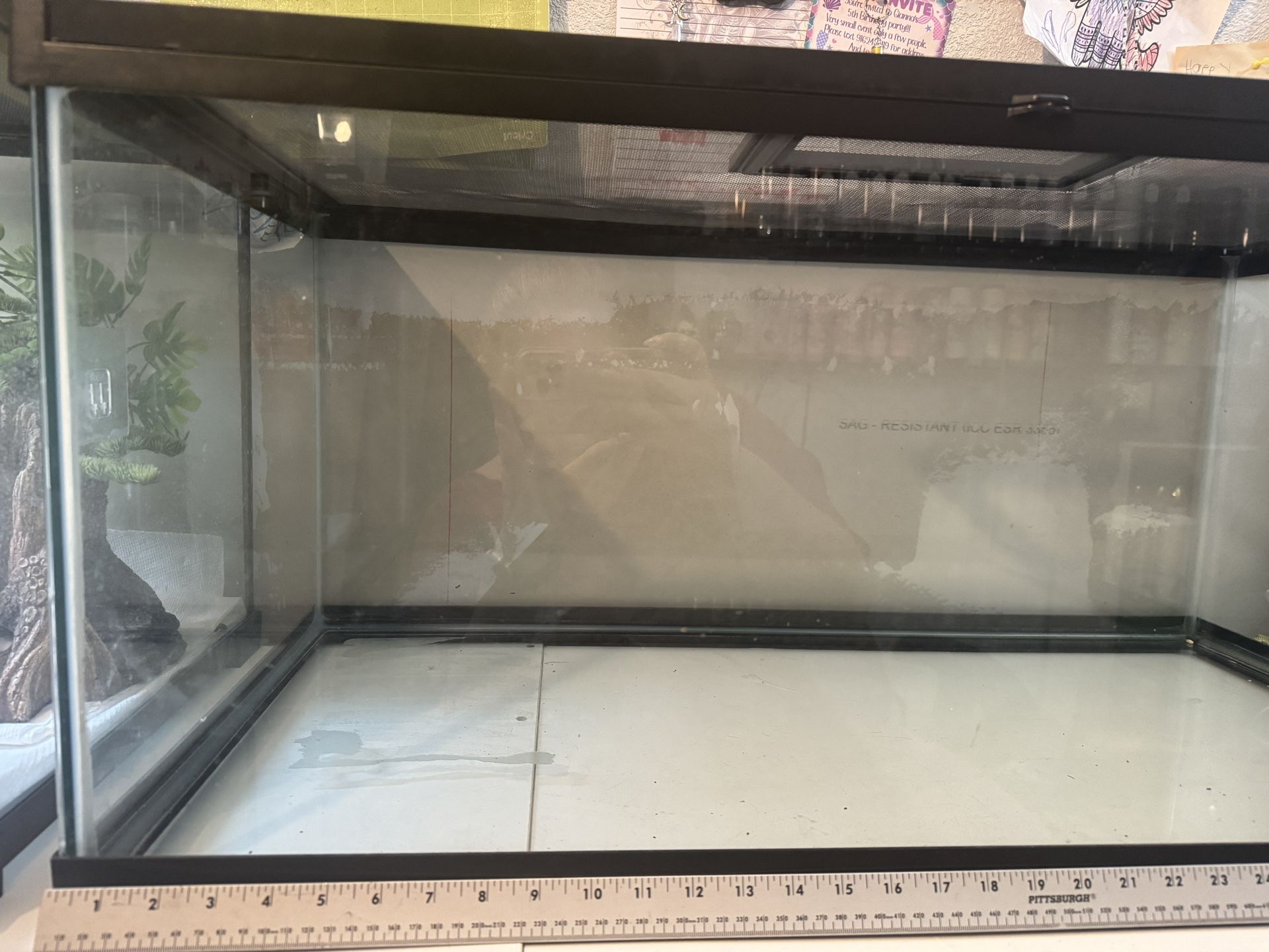 40 Gallon Reptile Tank